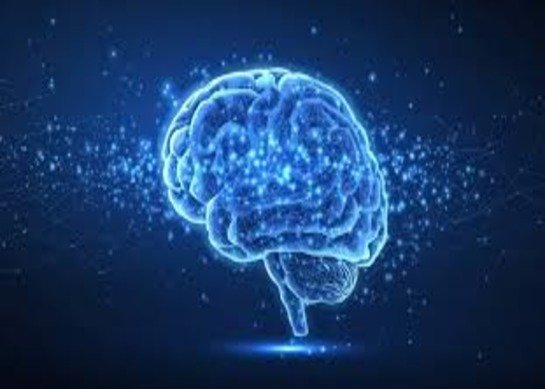 A Psychiatrist’s Guide to Brain Health: Nurturing Your Mind