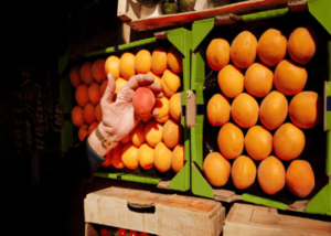 What is nutrition, and why does it matter?